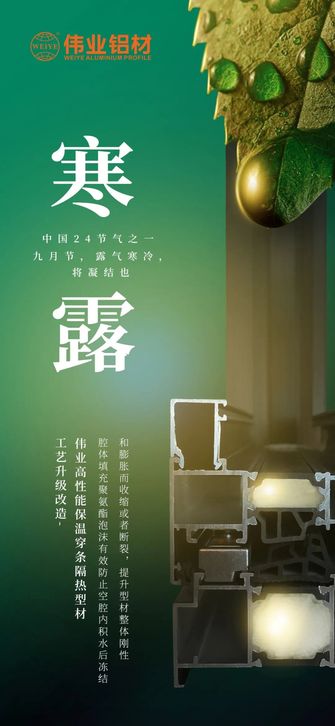 #寒露 九月节，露气寒冷，将凝固也 时光入深秋，岁月便深情